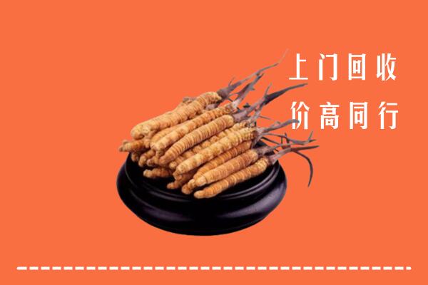 高价求购：大同云冈区回收散虫草