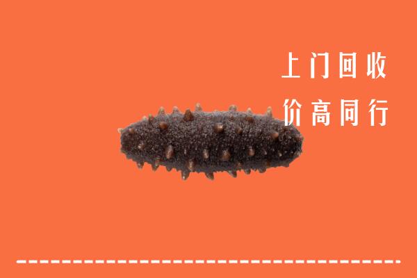 高价求购：大同云冈区回收海参