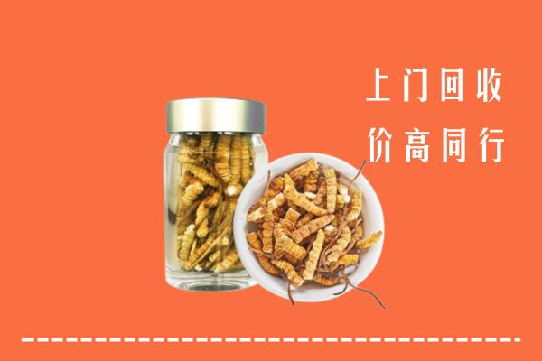 大同云冈区回收冬虫夏草