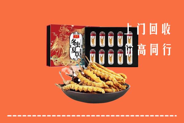 大同云冈区回收虫草
